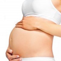 Embarazo & maternidad